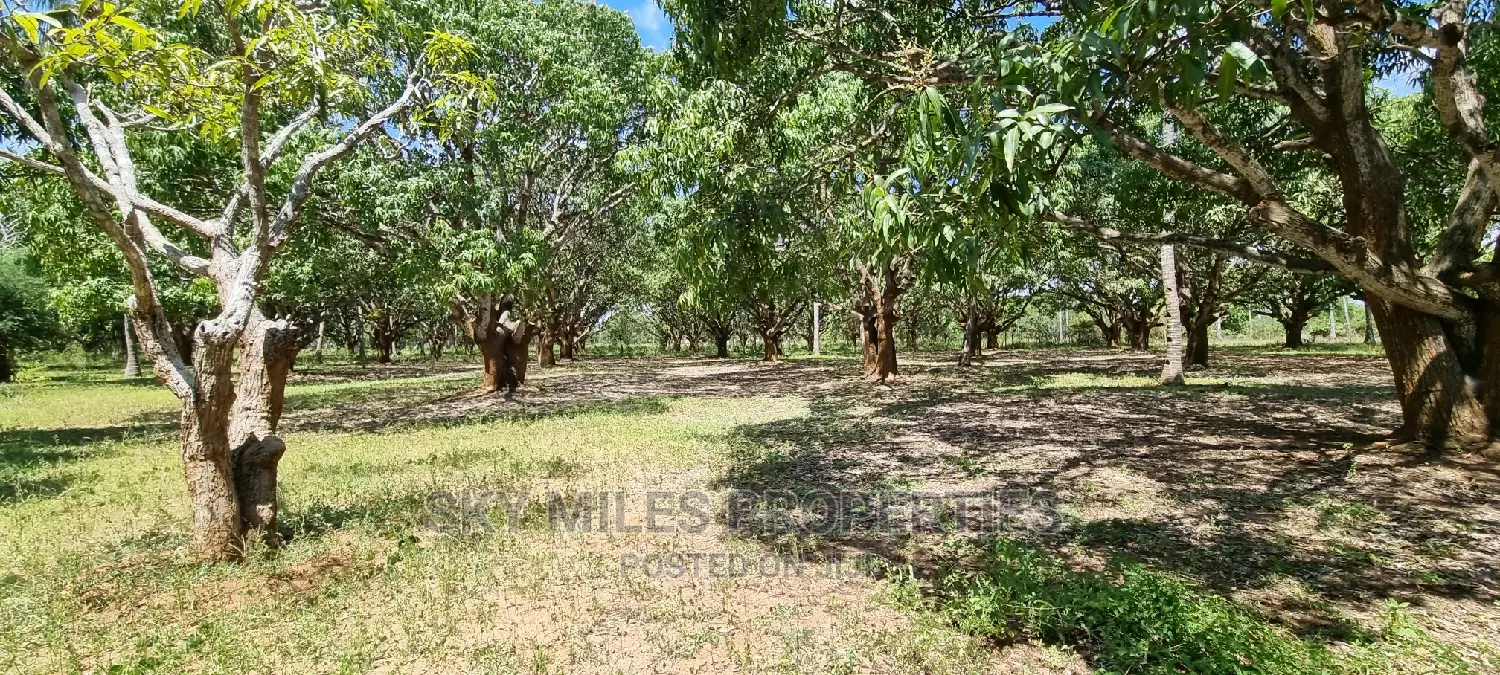 8-Acre Mtwapa Land for Sale: Prime Real Estate Opportunity in Mtwapa