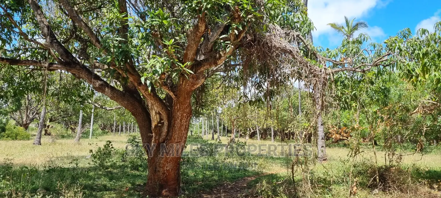 8-Acre Mtwapa Land for Sale: Prime Real Estate Opportunity in Mtwapa