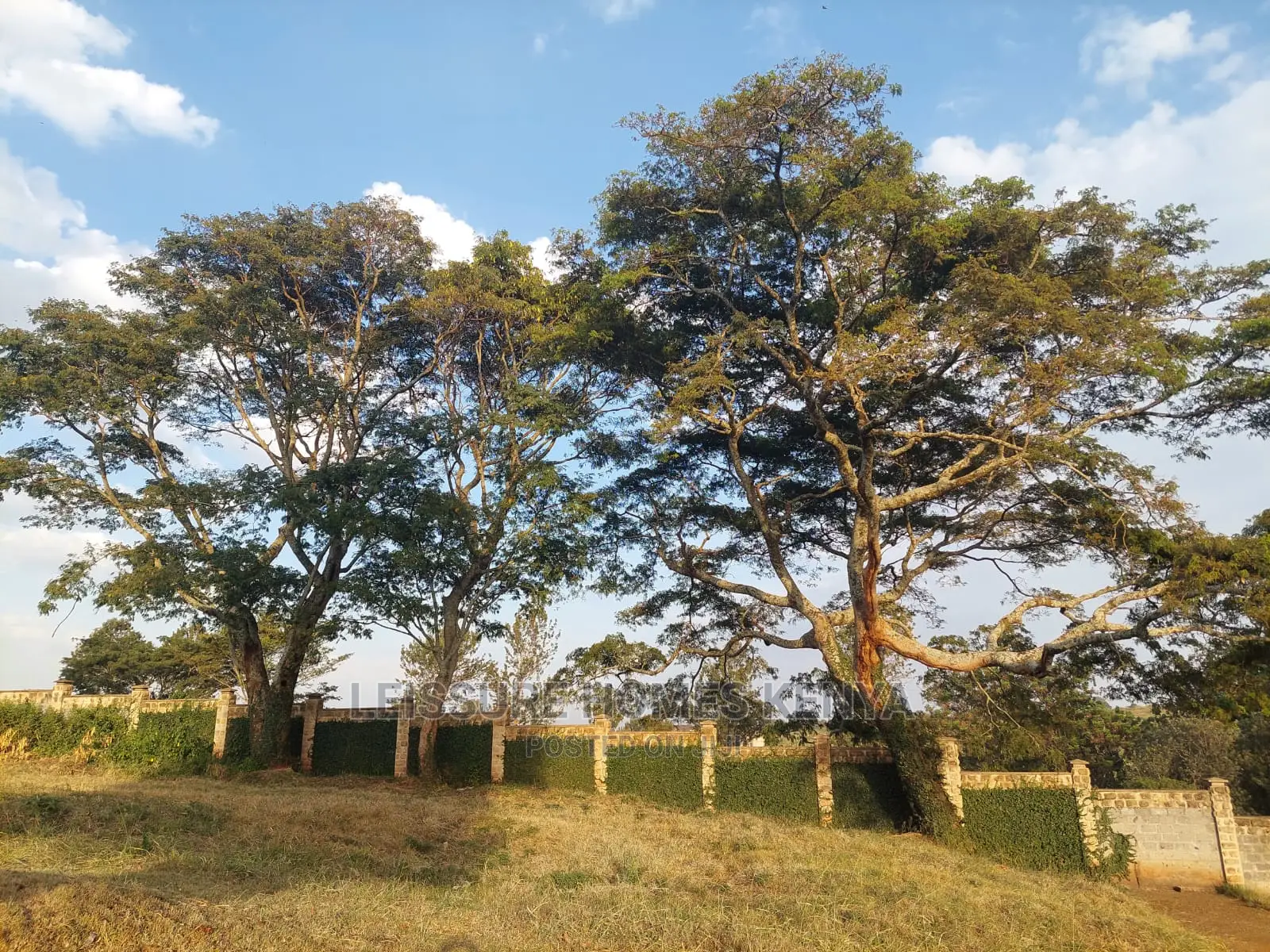 Golf-View 1/8 Acre Land - Ready for Development - Limited Time Offer in Riabai