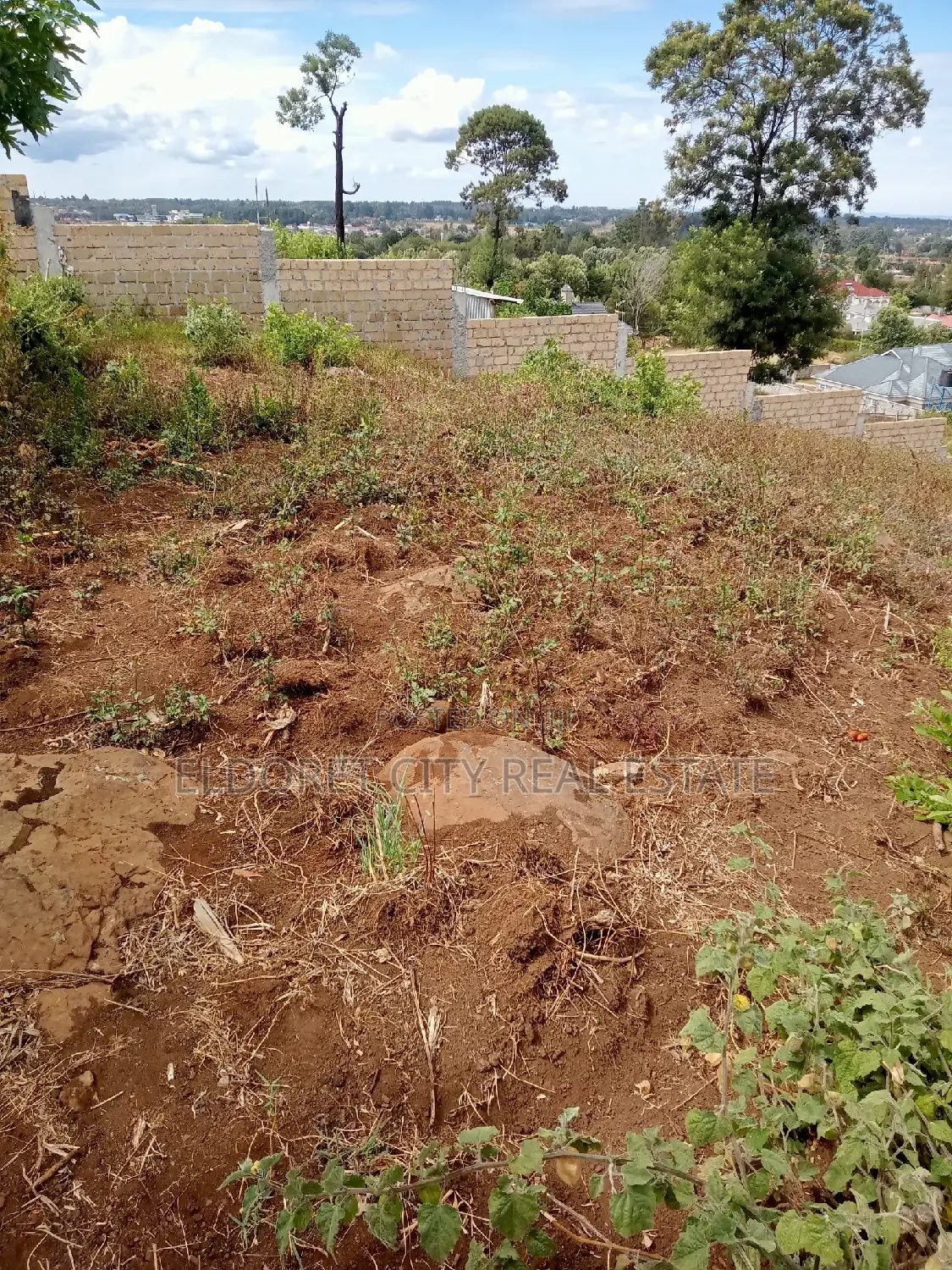 1/2 Acre Hilltop Retreat: Your Dream Home Awaits in Eldoret CBD