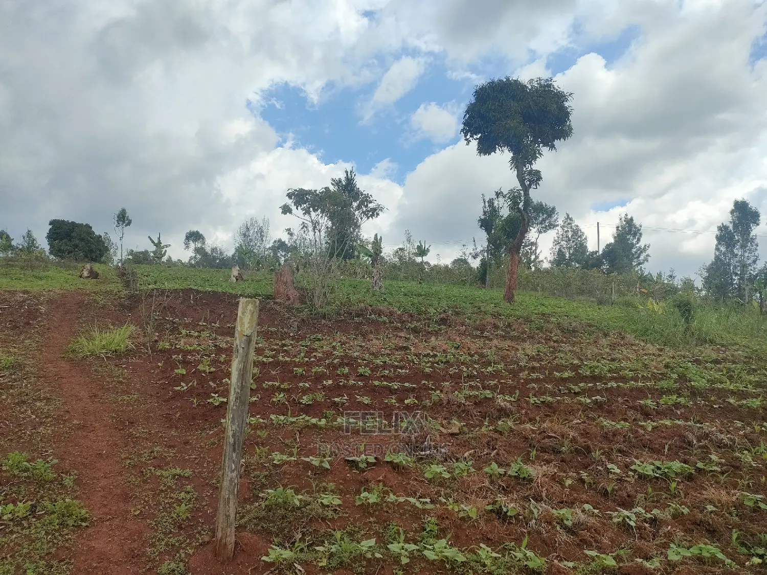2 Acres Karatina /Hiriga in Karatina Town