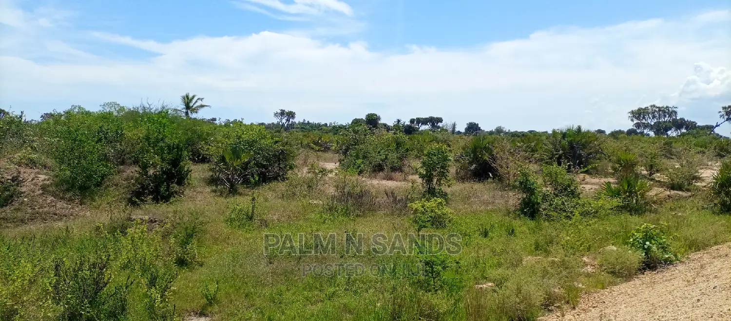 40 Acres of Land in Majoreni: Investment Opportunity in Ukunda