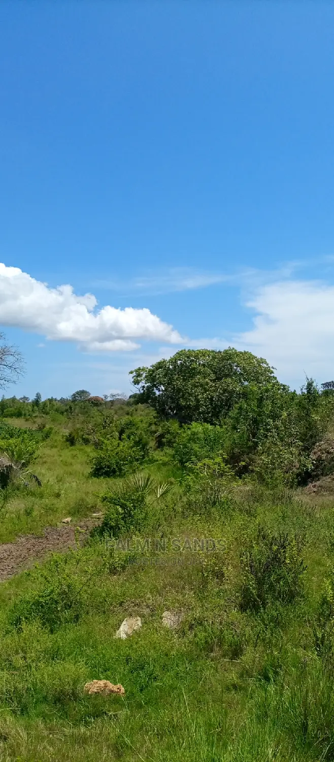 40 Acres of Land in Majoreni: Investment Opportunity in Ukunda