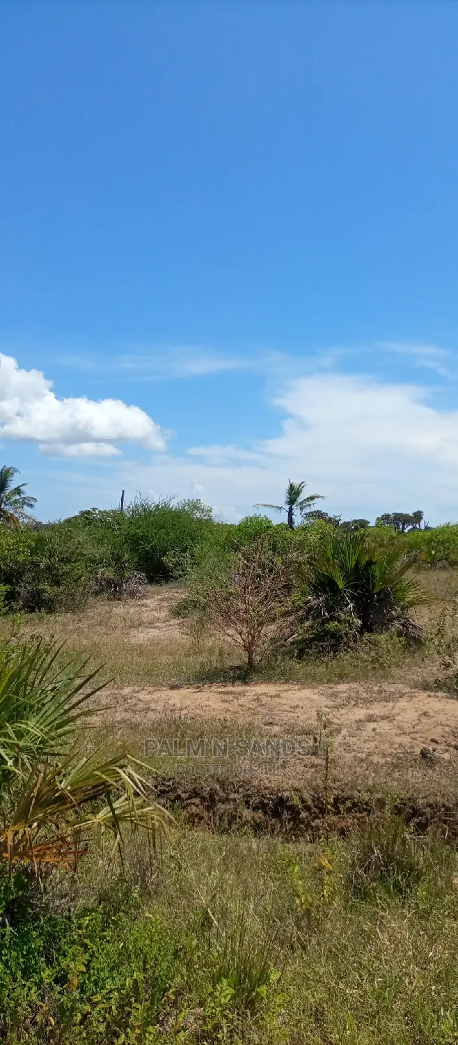 40 Acres of Land in Majoreni: Investment Opportunity in Ukunda