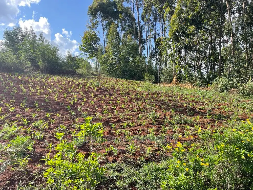 Gikambura's Residential Plots for Sale in Kikuyu in Karai