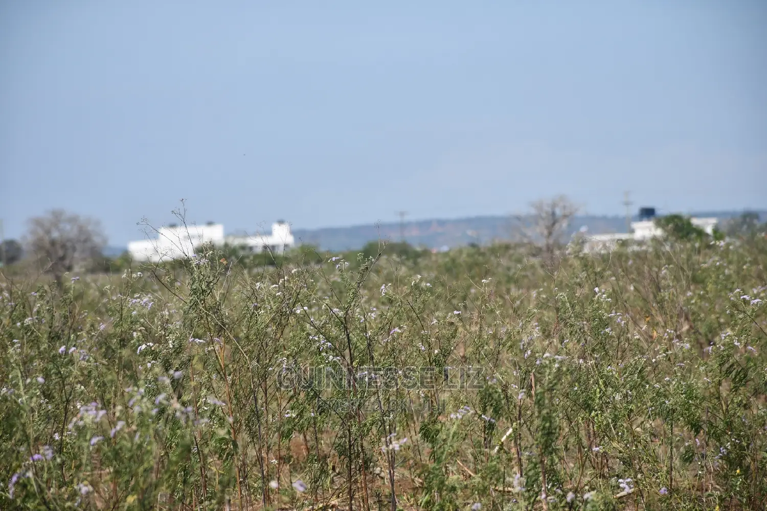 Affordable Homes: Mavueni Scheme Close to Ezekiel's Church in Kilifi North
