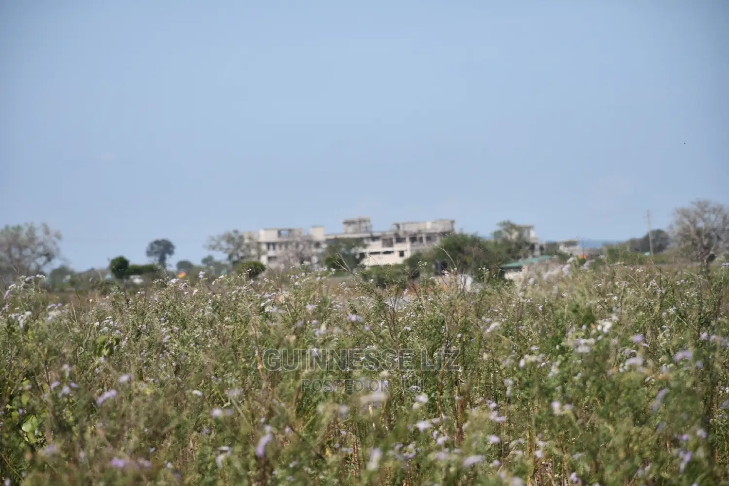 Affordable Homes: Mavueni Scheme Close to Ezekiel's Church in Kilifi North