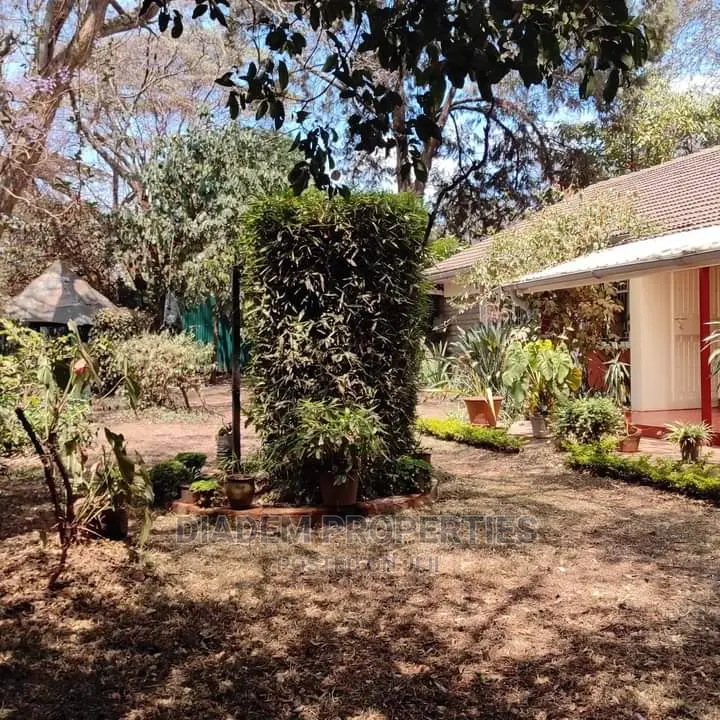 Kilimani Commercial Bungalow to Let - Ideal for Business Premises in Kilimani