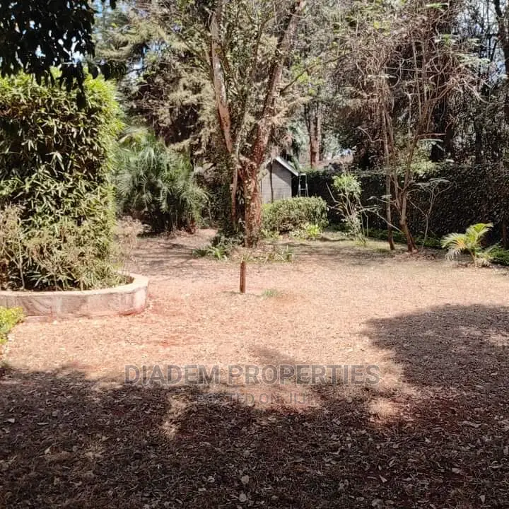 Kilimani Commercial Bungalow to Let - Ideal for Business Premises in Kilimani