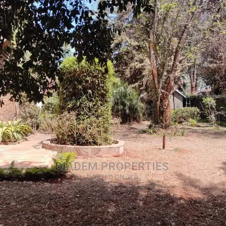 Kilimani Commercial Bungalow to Let - Ideal for Business Premises in Kilimani