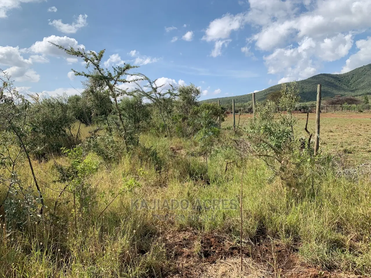Bargain 5 Acres Enkusero Sampu Land priced at 1.5 Million per Acre in Ngong