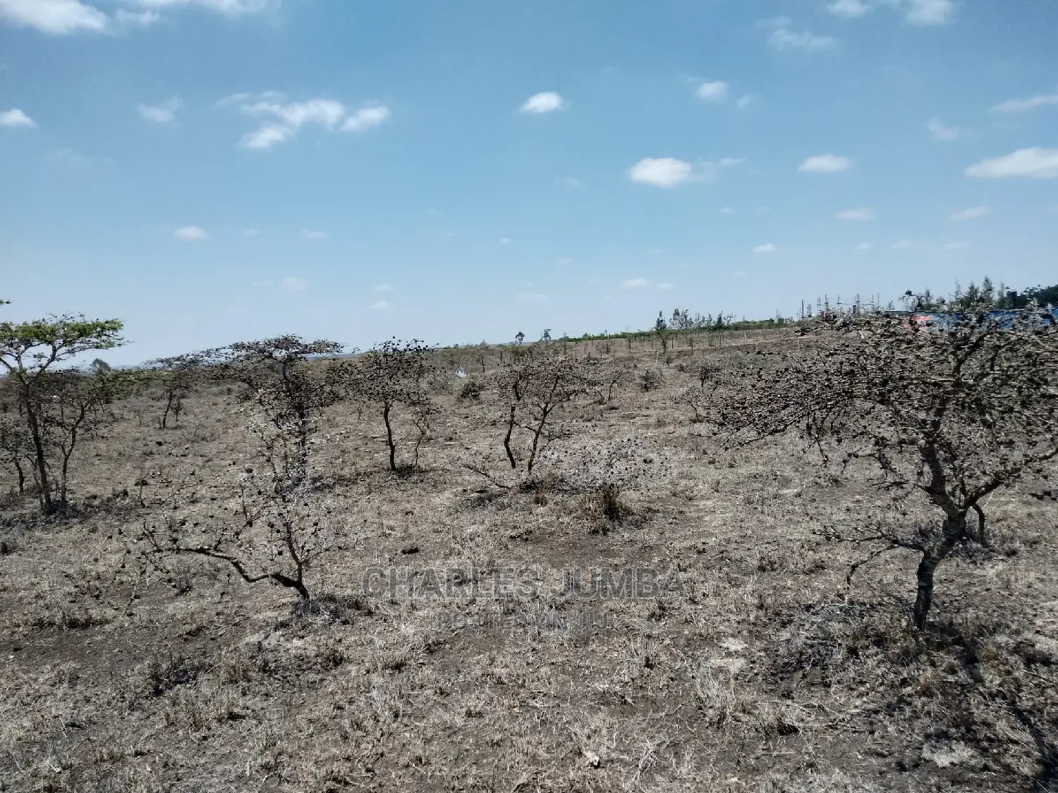 Acacia Land Plot: Perfect for Your Dream Home in Kitengela