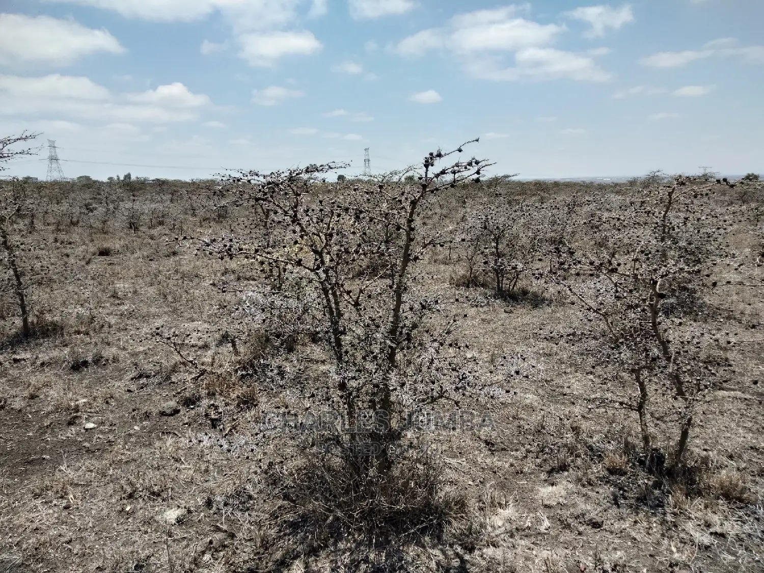 Acacia Land Plot: Perfect for Your Dream Home in Kitengela