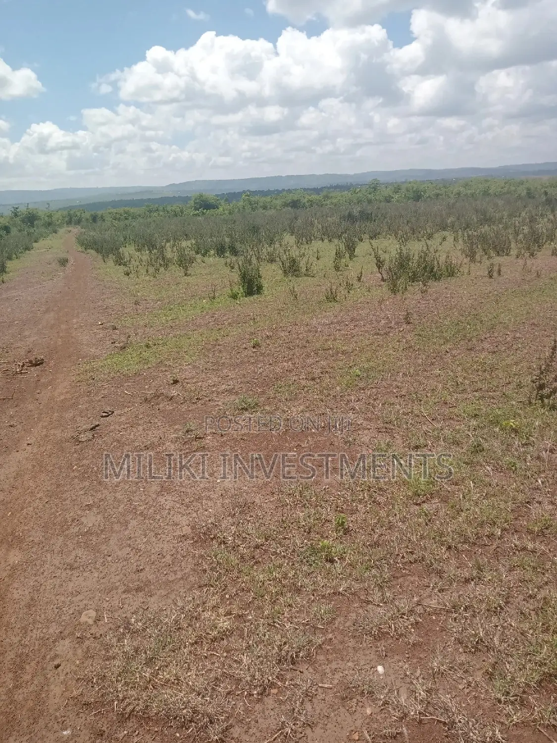 10-acre Land in Makutano: A Great Investment for Agriculture or Real Estate in Mutithi