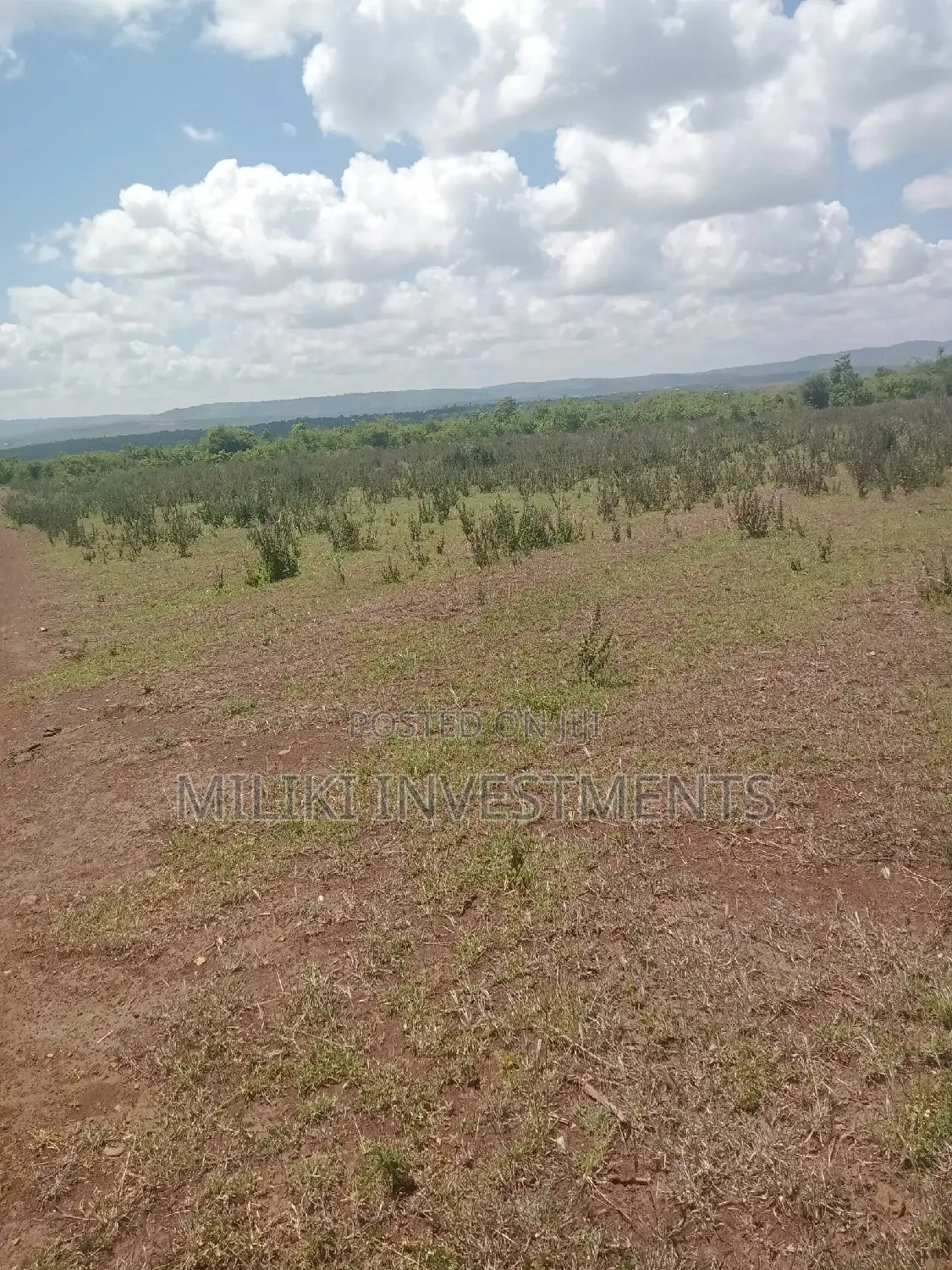 10-acre Land in Makutano: A Great Investment for Agriculture or Real Estate in Mutithi