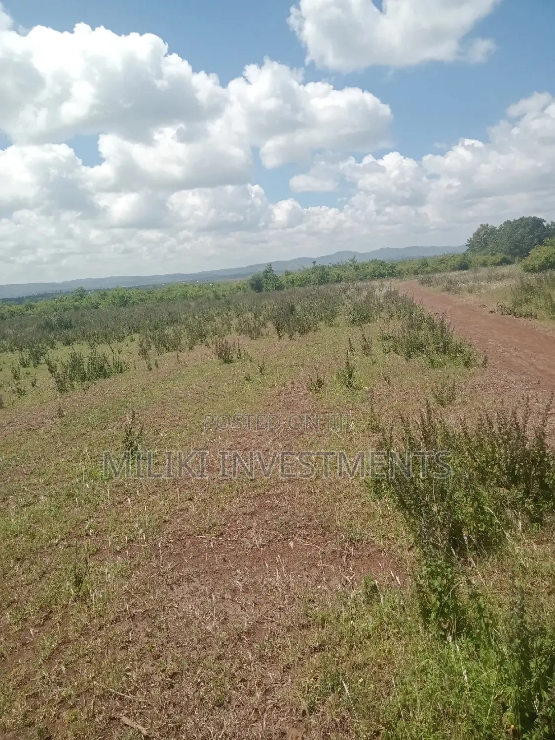 10-acre Land in Makutano: A Great Investment for Agriculture or Real Estate in Mutithi