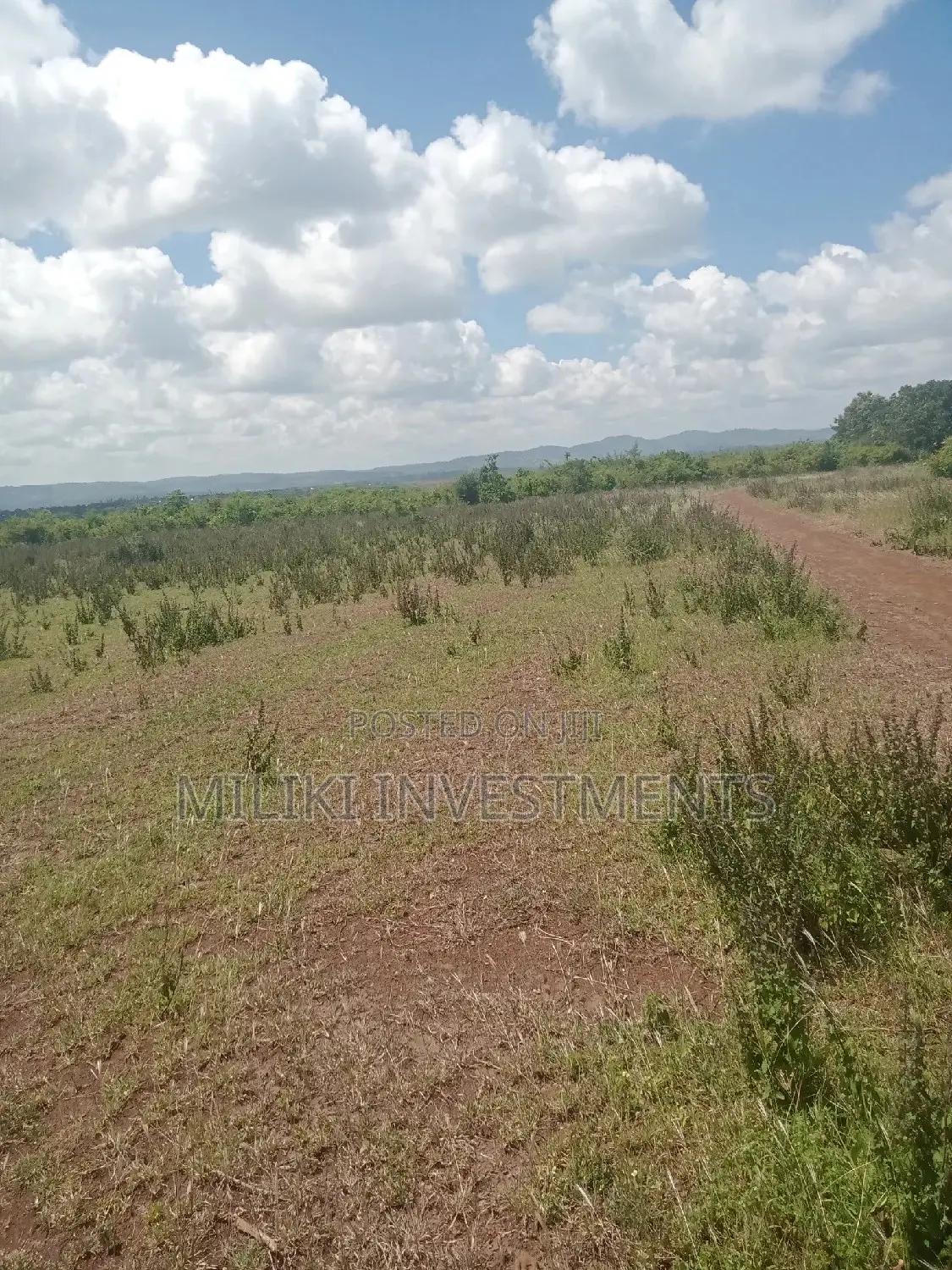 10-acre Land in Makutano: A Great Investment for Agriculture or Real Estate in Mutithi