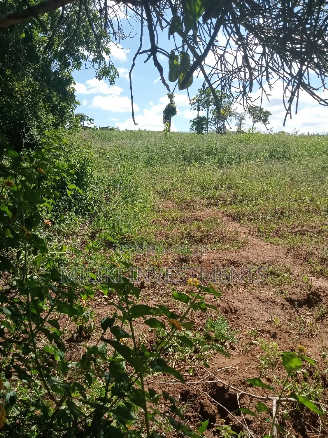 6-Acre Farmland for Sale in Makutano - Prime Investment Opportunity in Mutithi