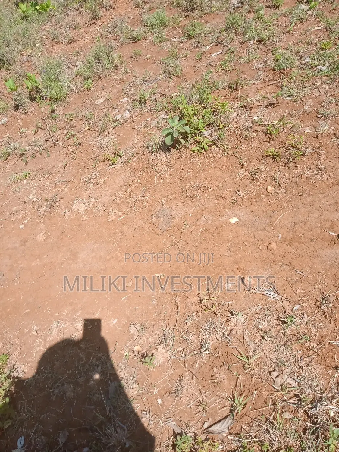 6-Acre Farmland for Sale in Makutano - Prime Investment Opportunity in Mutithi