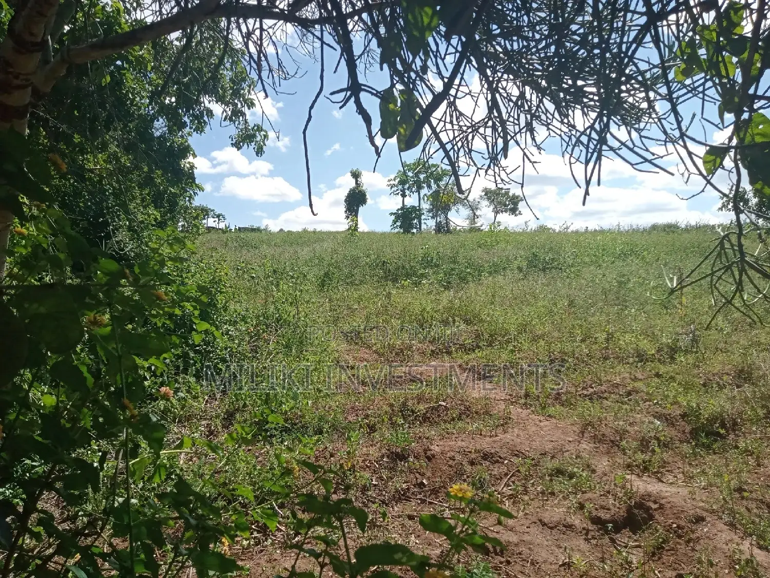 6-Acre Farmland for Sale in Makutano - Prime Investment Opportunity in Mutithi