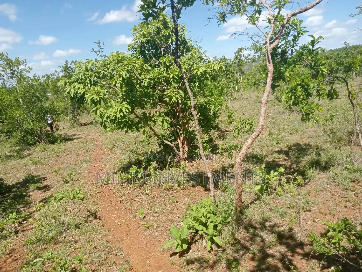 6-Acre Farmland for Sale in Makutano - Prime Investment Opportunity in Mutithi