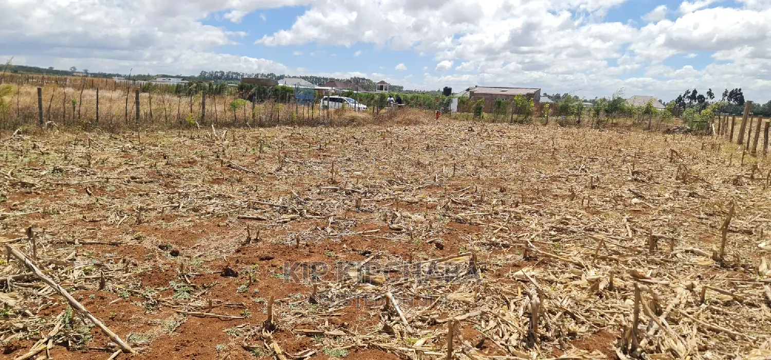 Spacious 1/4 Acre Land for Sale in Chepkanga Mwisho Wa Lami Eldoret in Kimumu