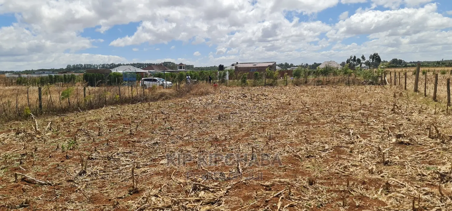 Spacious 1/4 Acre Land for Sale in Chepkanga Mwisho Wa Lami Eldoret in Kimumu
