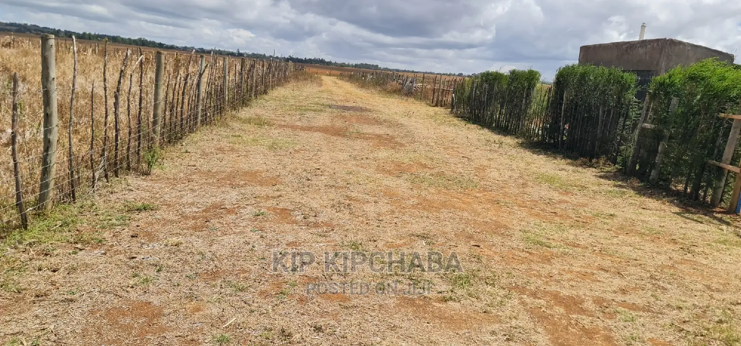 Spacious 1/4 Acre Land for Sale in Chepkanga Mwisho Wa Lami Eldoret in Kimumu