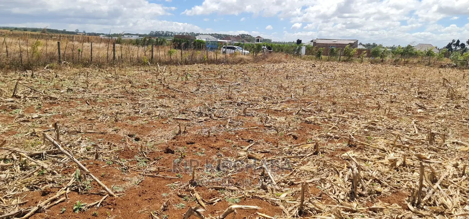Spacious 1/4 Acre Land for Sale in Chepkanga Mwisho Wa Lami Eldoret in Kimumu
