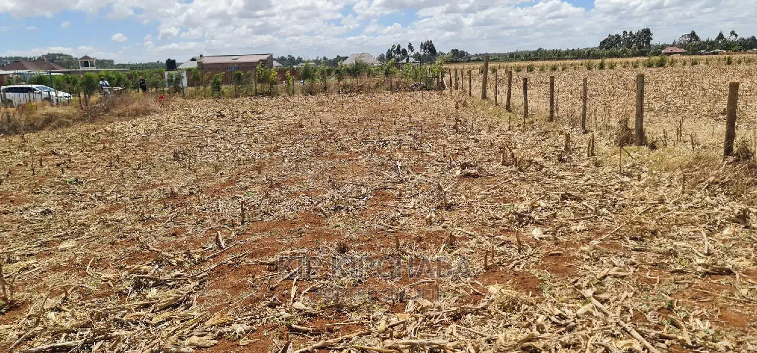 Spacious 1/4 Acre Land for Sale in Chepkanga Mwisho Wa Lami Eldoret in Kimumu