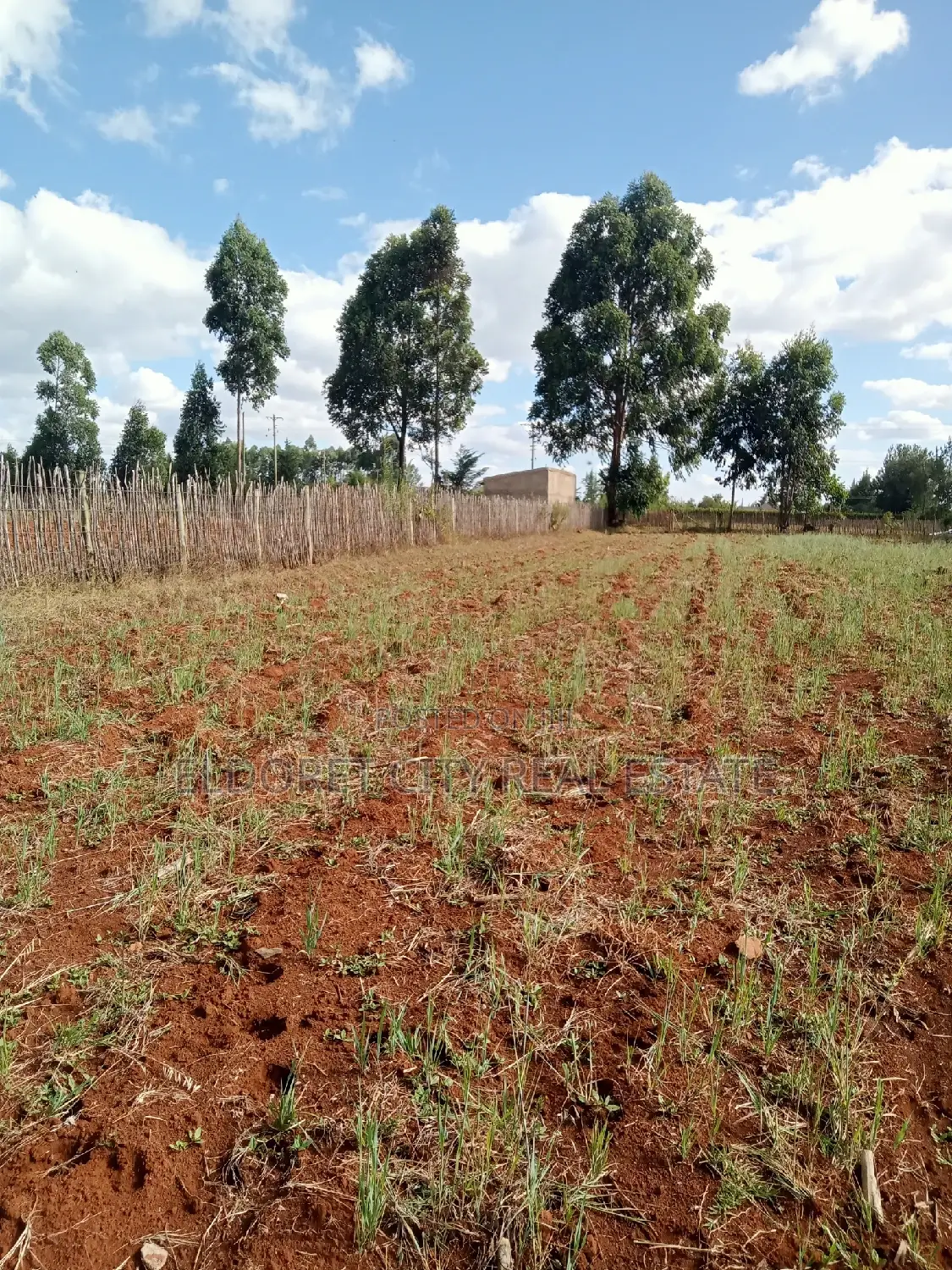 Kapseret One-Acre Land: Perfect for Your Future Residential Development in Eldoret CBD