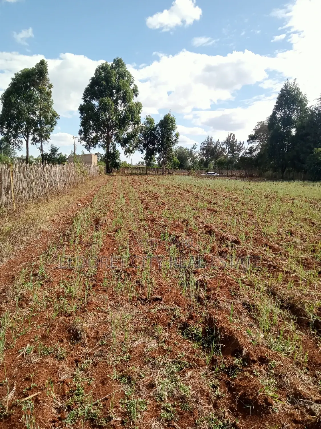 Kapseret One-Acre Land: Perfect for Your Future Residential Development in Eldoret CBD