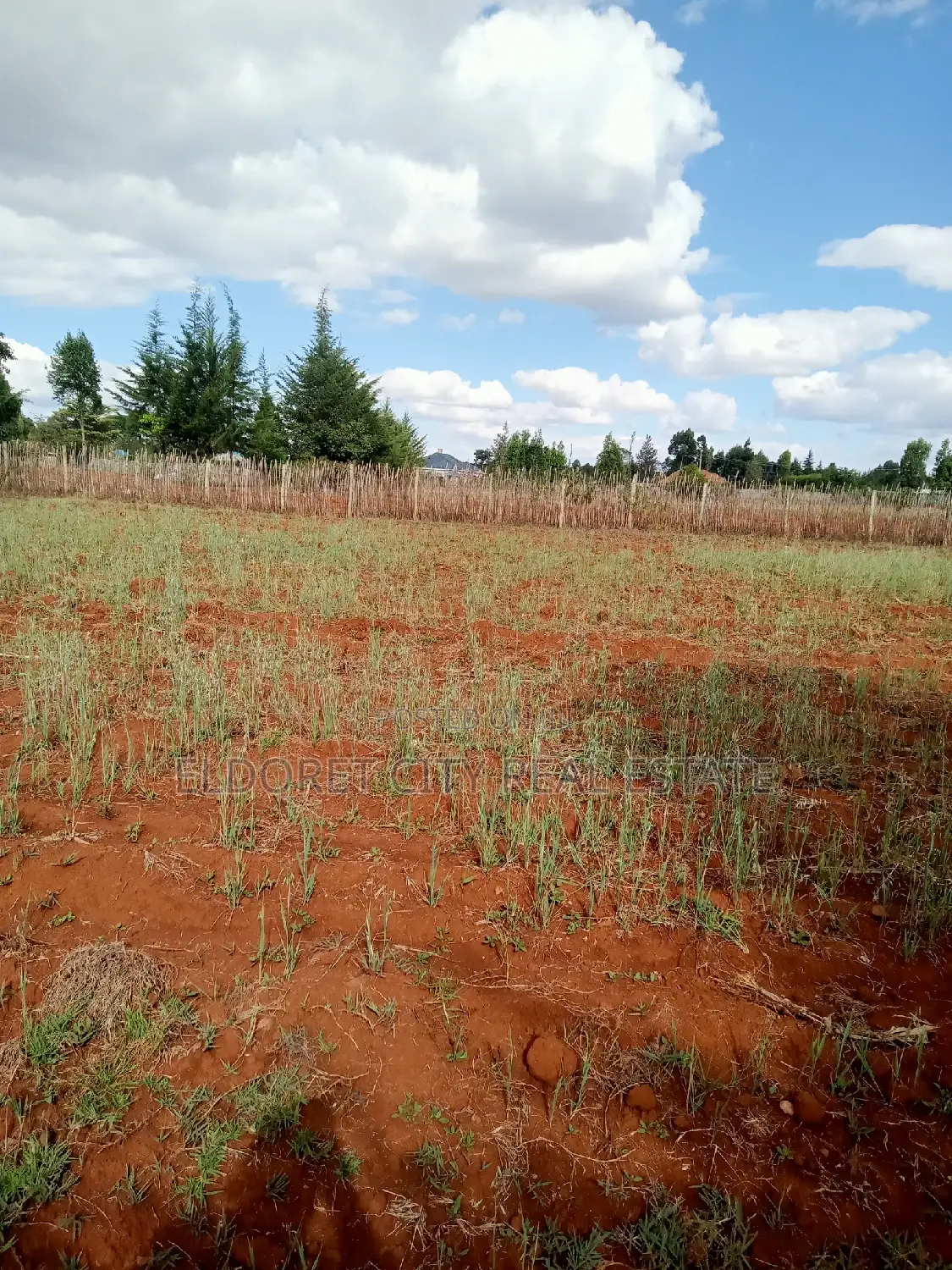 Kapseret One-Acre Land: Perfect for Your Future Residential Development in Eldoret CBD
