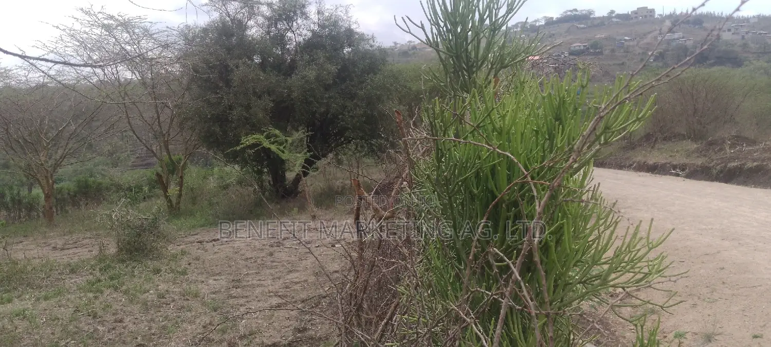 Spacious 2-Bedroom House for Rent in Ongata Rongai - Close to Ahadi PCEA Church in Rimpa