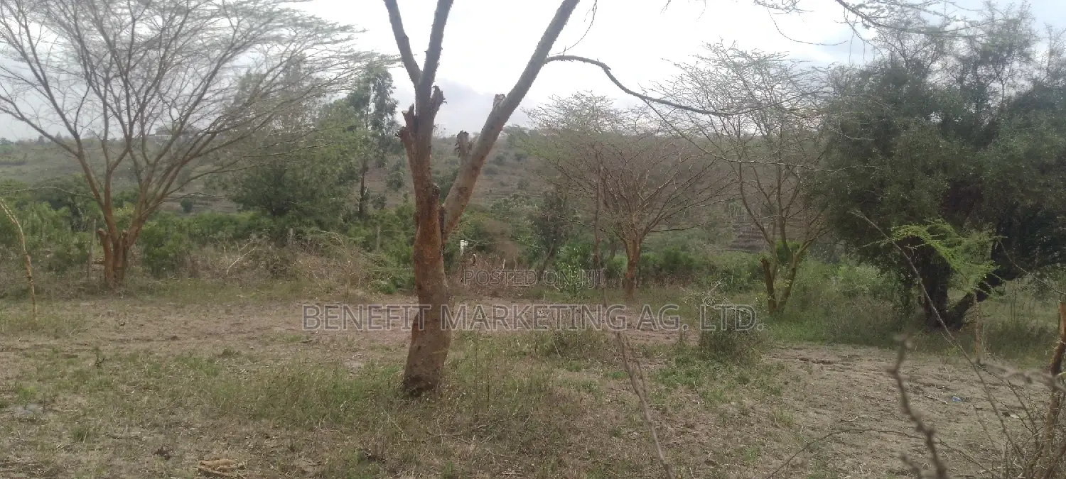 Spacious 2-Bedroom House for Rent in Ongata Rongai - Close to Ahadi PCEA Church in Rimpa