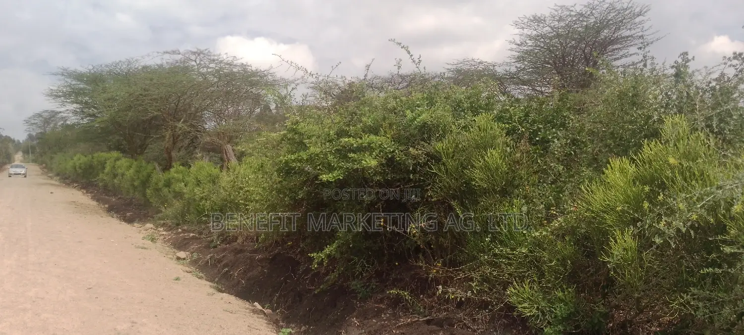 Spacious 2-Bedroom House for Rent in Ongata Rongai - Close to Ahadi PCEA Church in Rimpa