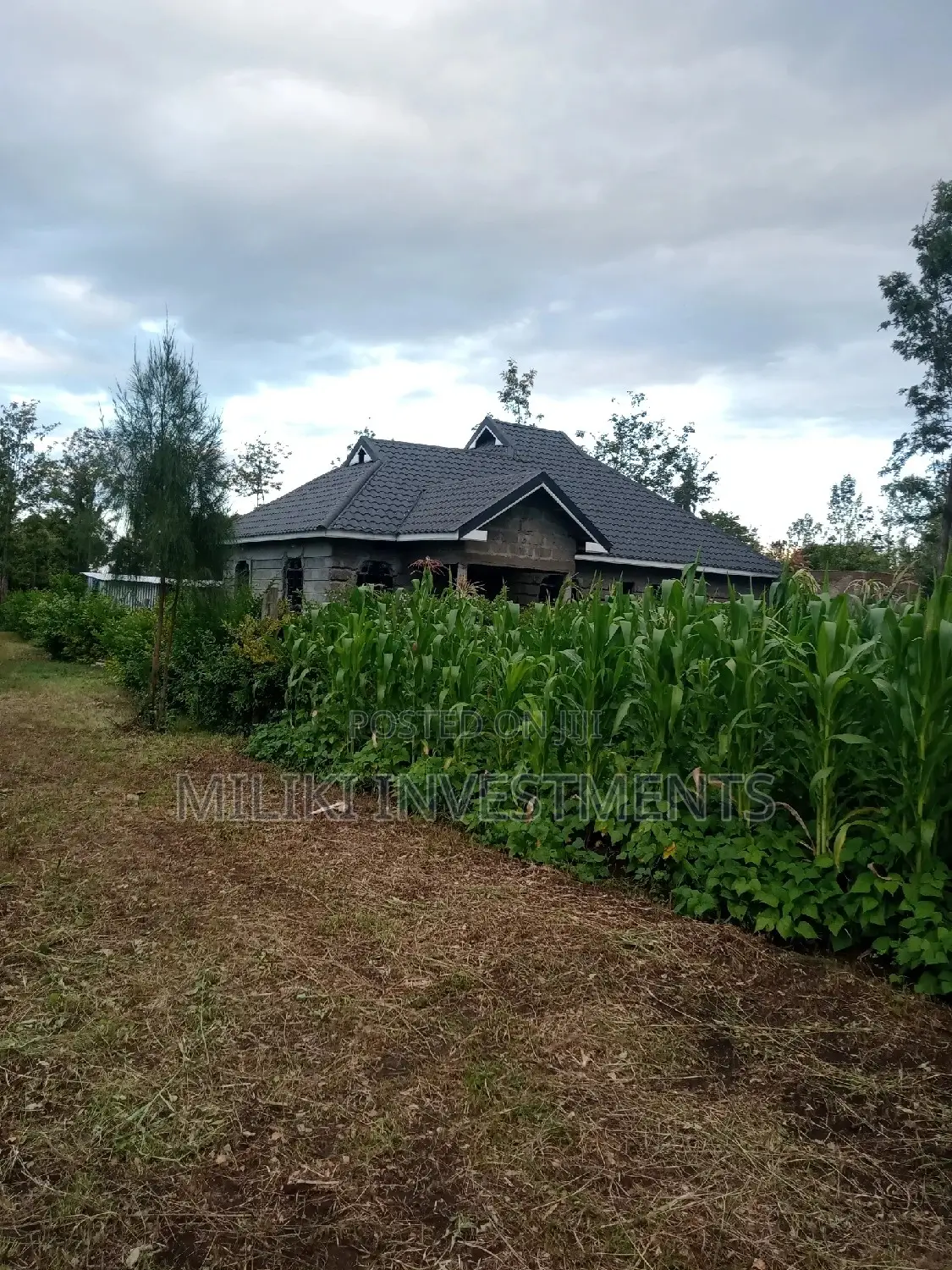 Kenol's Hot Deal: 50 by 100 on Sale! in Kimorori/Wempa