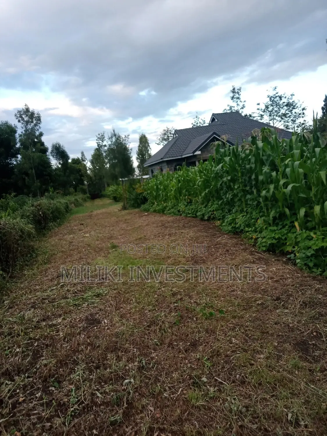 Kenol's Hot Deal: 50 by 100 on Sale! in Kimorori/Wempa