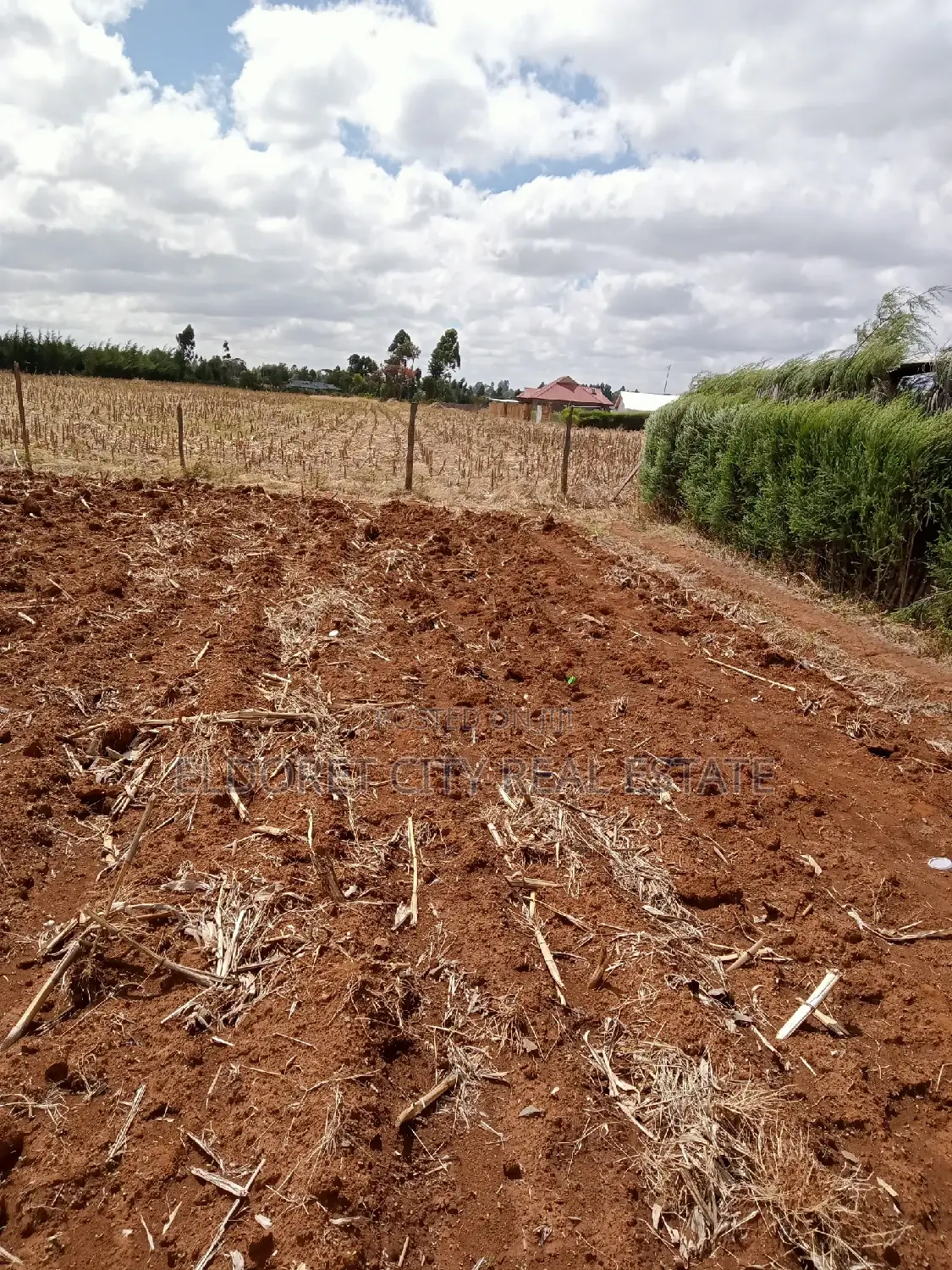 Rent 1/8 Plot in Prime Kuinet - Investment Opportunity in Eldoret CBD
