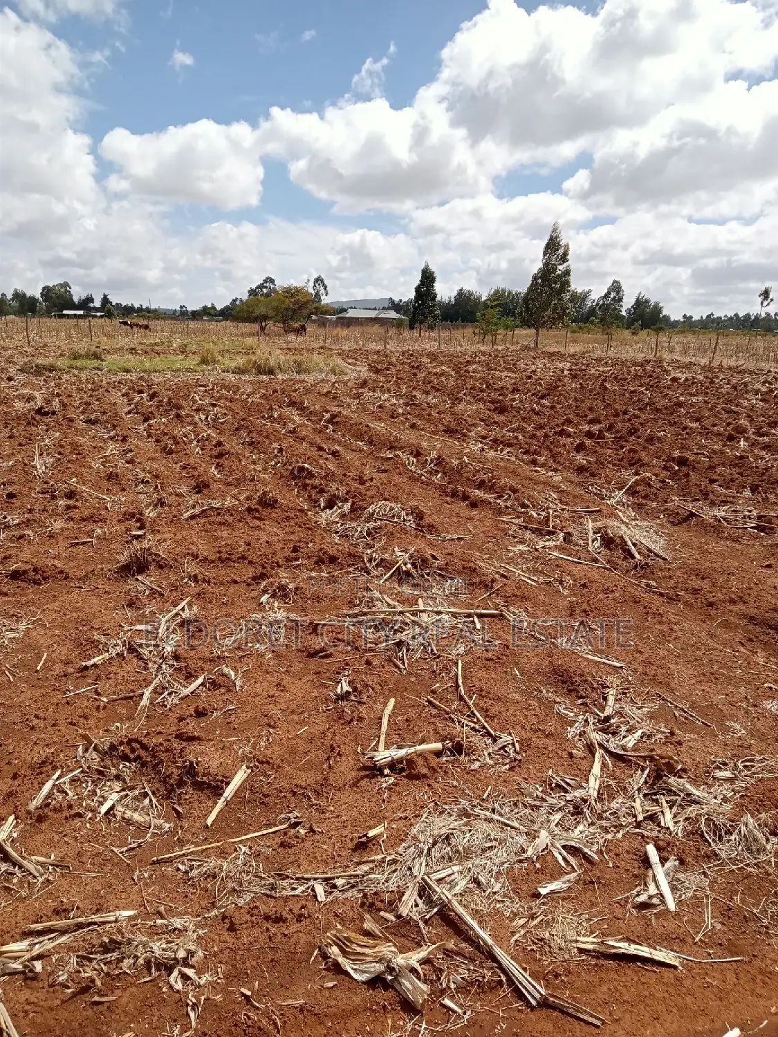 Rent 1/8 Plot in Prime Kuinet - Investment Opportunity in Eldoret CBD