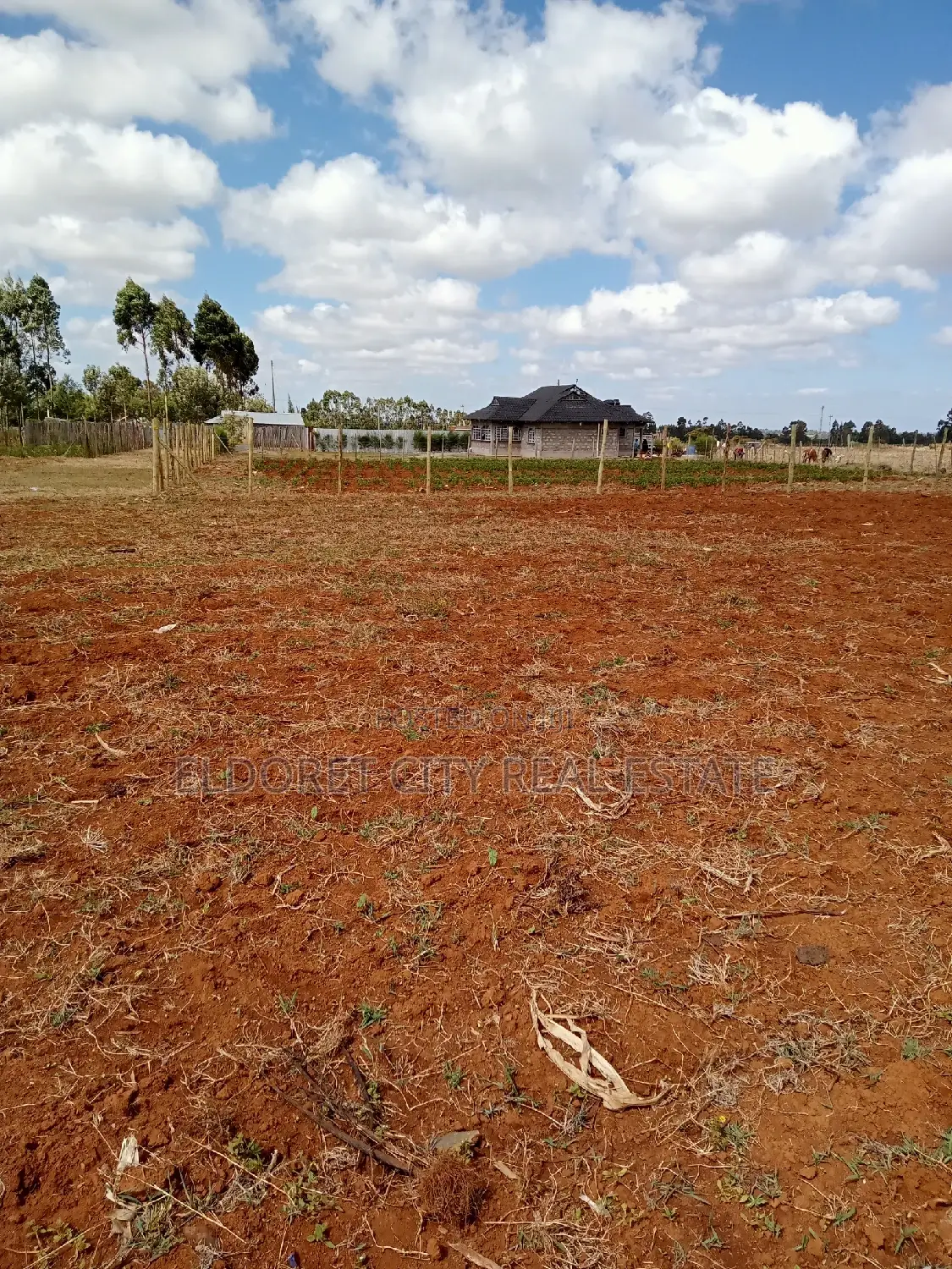Tarmac Proximity 1/4 Plot - Less Than 150 Metres Away in Eldoret CBD