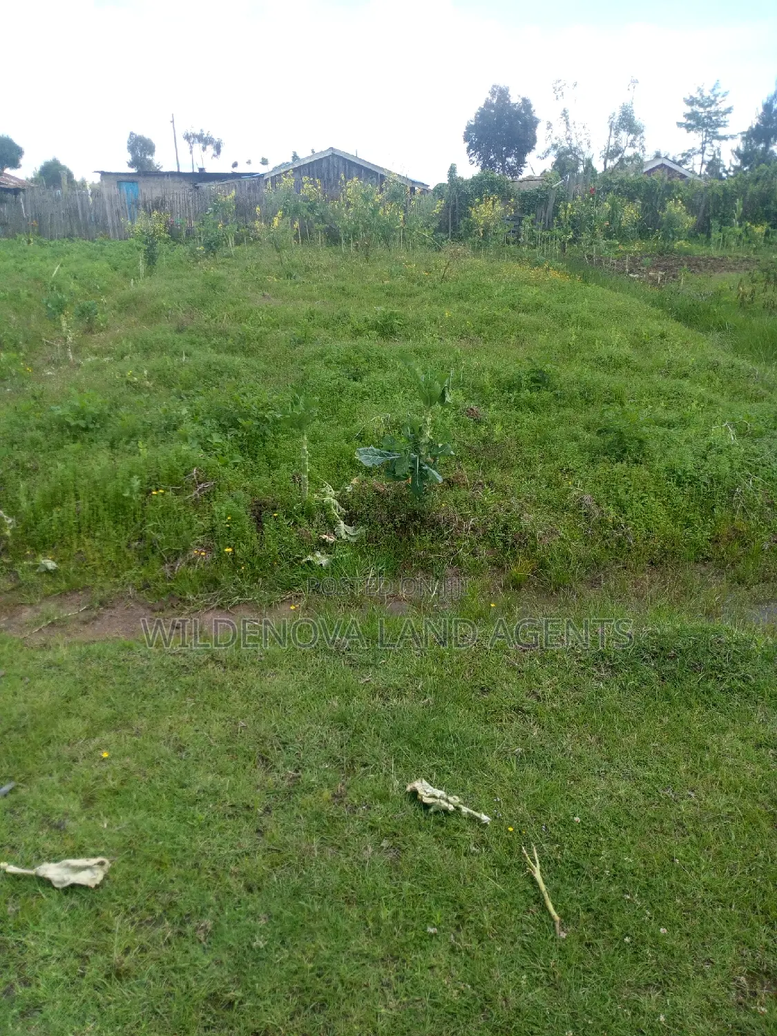 Prime 50*100ft Land Plot in Magumu: On Sale in Magumu