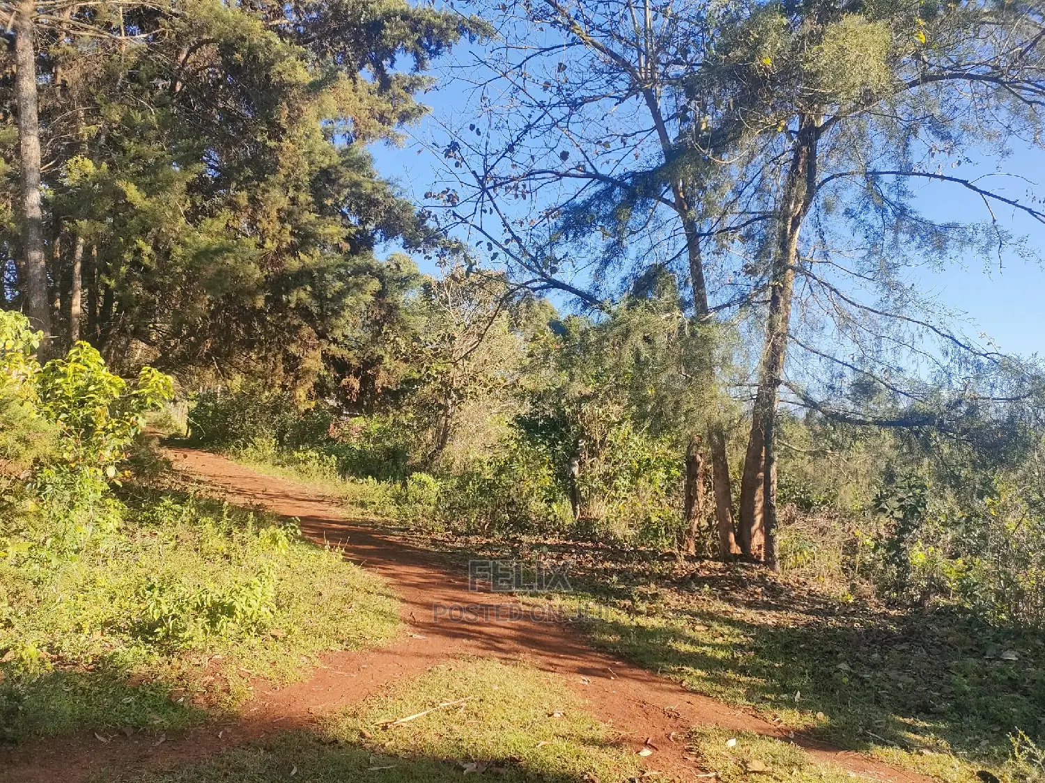 Karatina/Karogoto Quota Acre in Karatina Town