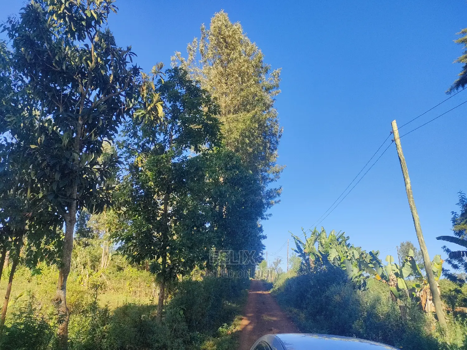 Karatina/Karogoto Quota Acre in Karatina Town