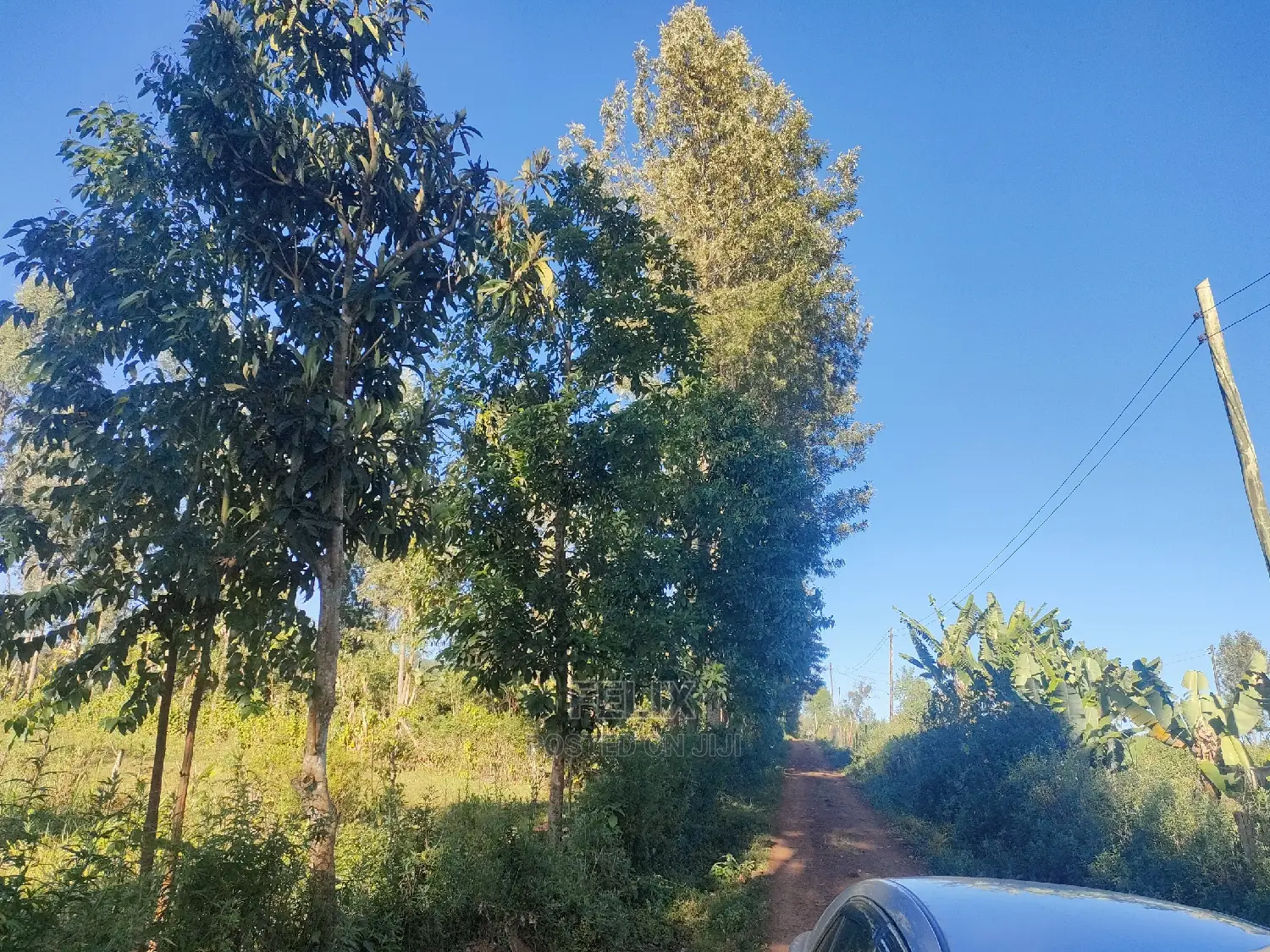 Karatina/Karogoto Quota Acre in Karatina Town