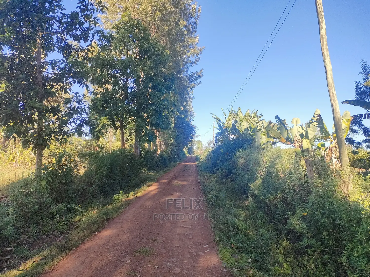 Karatina/Karogoto Quota Acre in Karatina Town