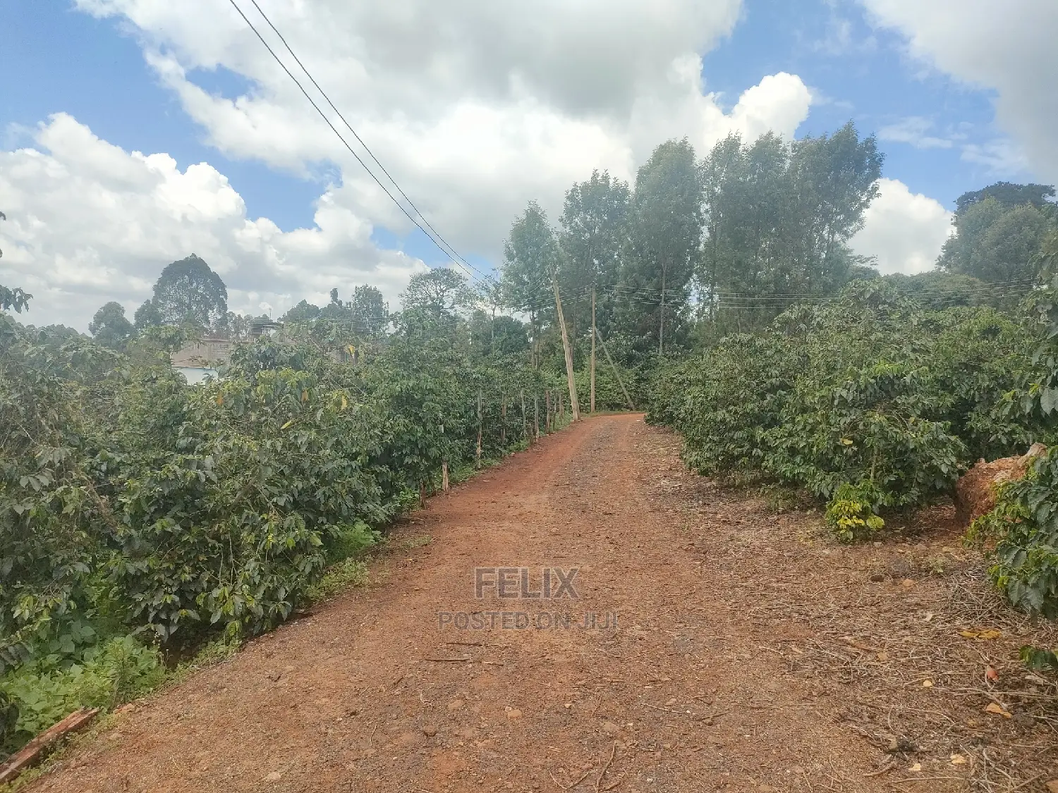 Karatina/Muthua 3 Bedroomed House in Karatina Town