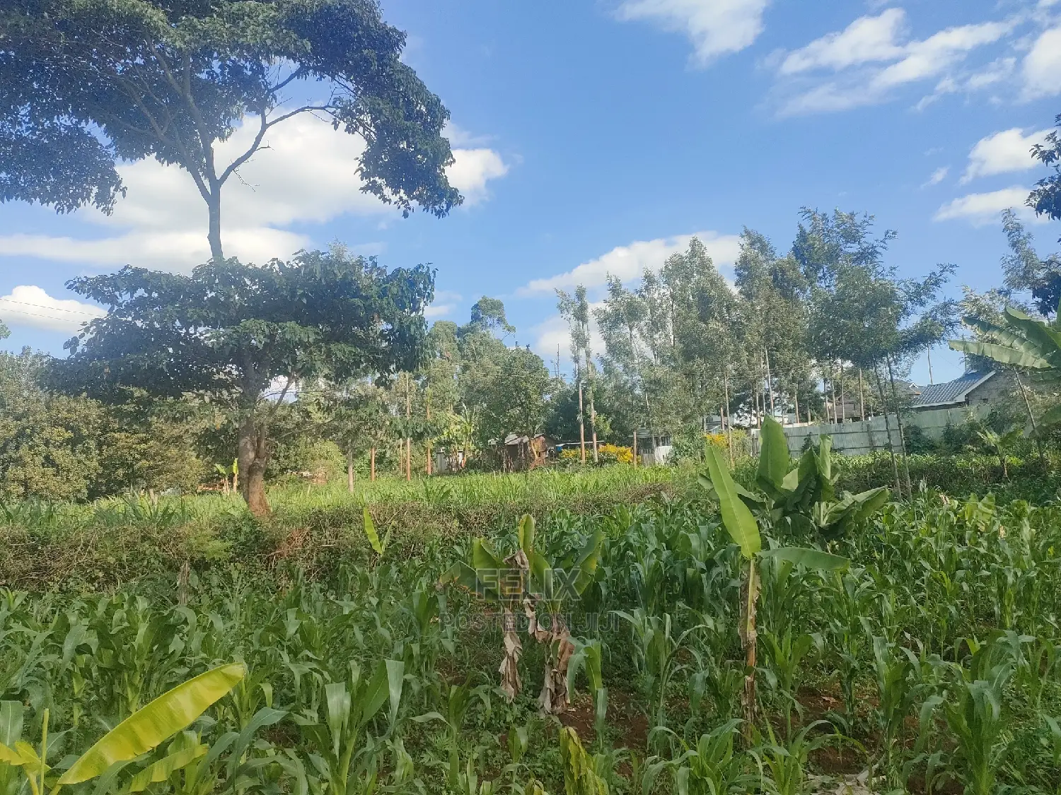 Nyeri/ Chorong'i 50/100 Plot in Nyeri Town