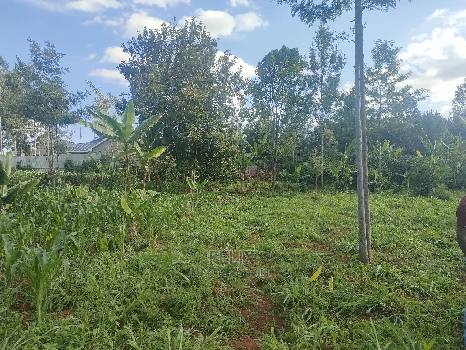Nyeri/ Chorong'i 50/100 Plot in Nyeri Town