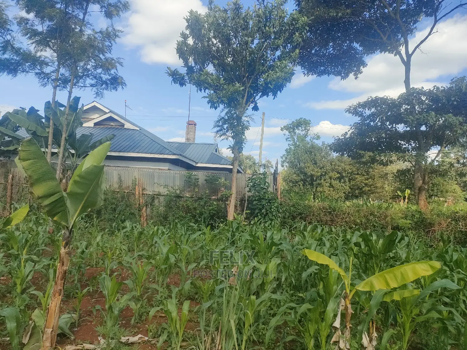 Nyeri/ Chorong'i 50/100 Plot in Nyeri Town